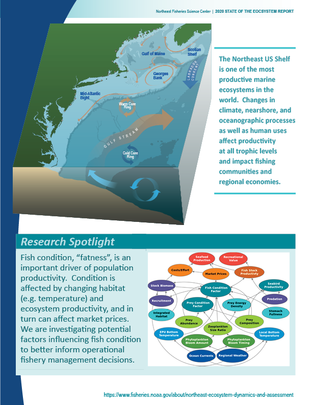 :img State of the Ecosystem page 2 infographic, 100%